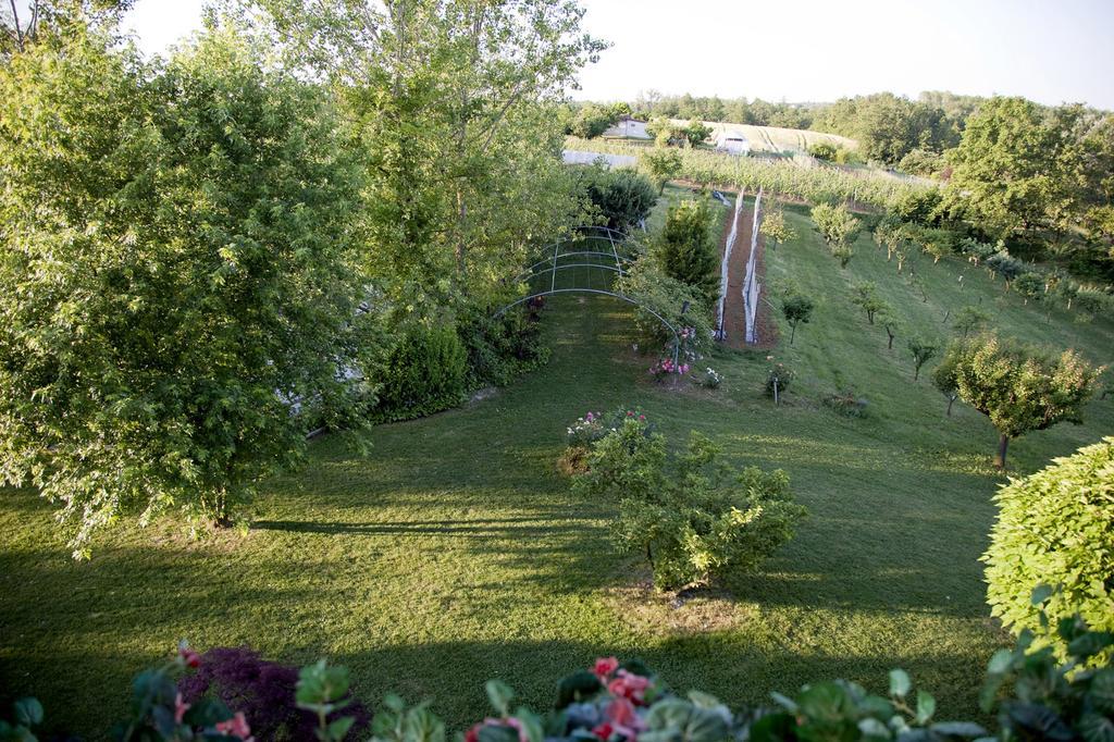 Cascina Papa Mora Villa Cellarengo Exterior foto